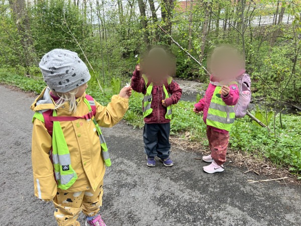 Barn på tur i skogen
